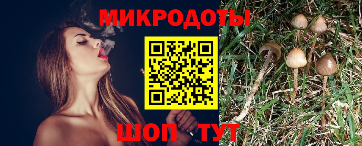 Галлюциногенные грибы ЛСД  Вход с VPN  Томск 