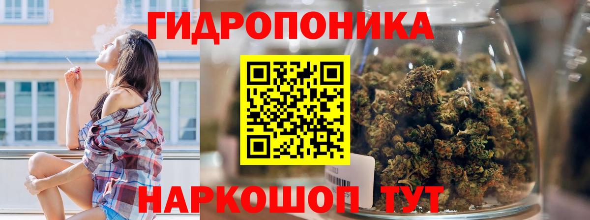Бошки Шишки гибрид  Каннабис OG Kush  Бошки Шишки MAZAR  Томск  Вход с VPN  Конопля AK-47 